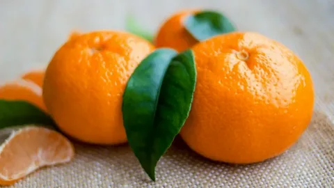 تصویر 2 از قیمت خرید نارنگی جعبه ای + فروش ویژه